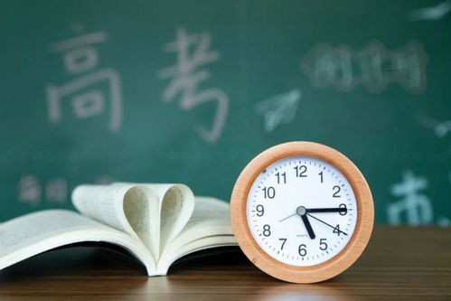 本周六我市教育招生政策咨詢活動即將舉行，為家長學生提供權威解答