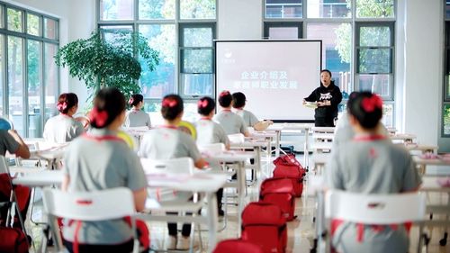 支持家政企業(yè)擴(kuò)大育兒服務(wù) 三胎政策下天鵝到家的機(jī)遇與擔(dān)當(dāng)